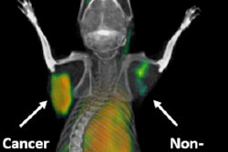 2018 05 17 15 12 8252 Ox40 Pet Mouse 400