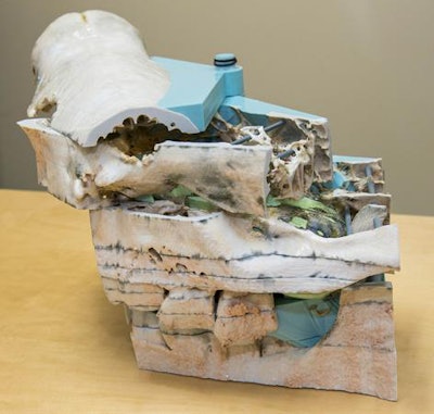 A 'hinge-and-slice' 3D-printed model of a rhinoceros. Image courtesy of Kelly Tone of the Chicago Zoological Society.