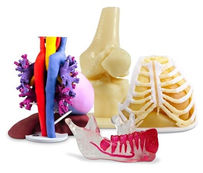 3D-printed anatomical models. Image courtesy of 3D Systems.