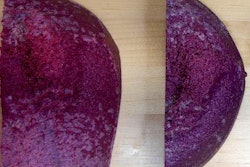 2018 07 27 19 26 2254 2018 07 30 3 D Printed Breast Phantom 700 20180727192805