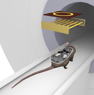 Whole-mouse scanning with the new coil. Image courtesy of Zubkov et al.