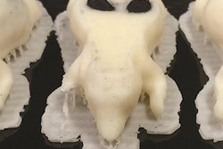 2018 08 29 20 45 0098 3 D Printed Phantom 20180829205918