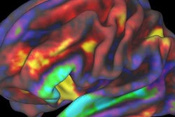 2018 12 04 23 10 3459 Nih Abcd Brain 20181204235534