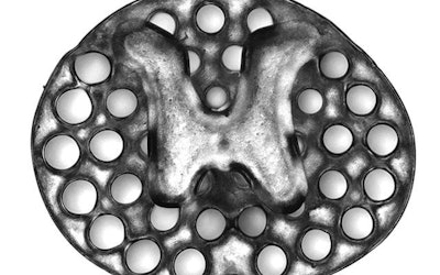 3D-printed, 2-mm implant. Image courtesy of Jacob Koffler, PhD, and Wei Zhu, PhD.