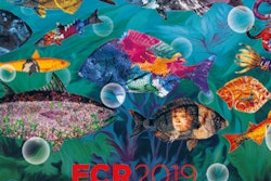 2019 02 06 00 25 5305 Ecr 2019 Poster2 400