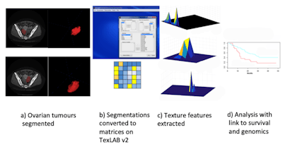TexLab 2.0 workflow. Image courtesy of Eric Aboagye, PhD.