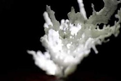 2019 03 01 00 31 8712 Qt 3 D Printing 400 20190301005013