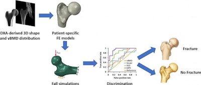 3D DEXA workflow. Image courtesy of Pompeu Fabra University.