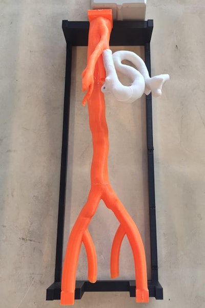 Setup for simulating interventional radiology procedure on a 3D-printed aorta. All images and video courtesy of Dr. Wayne Monsky, PhD.