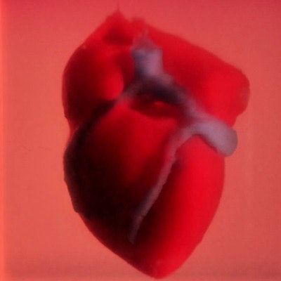 2019 04 15 23 53 6527 3 D Bioprinted Heart 400