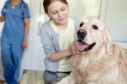 2019 05 02 22 43 2658 Dog Hospital Girl 400