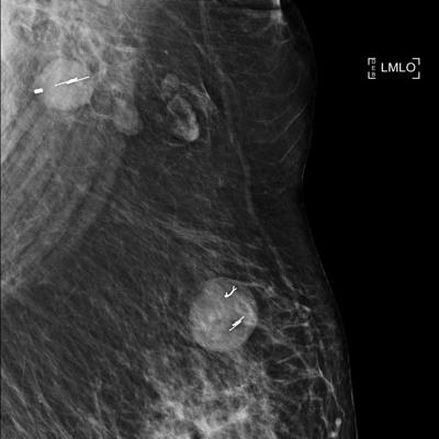 2019 12 16 07 39 1600 2019 12 16 Figure3 20191216071712