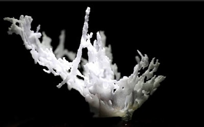 3D-printed human breast tissue based on transmission ultrasound scans. Image courtesy of QT Ultrasound.