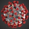 2020 02 12 21 02 6375 Virus Coronavirus Cdc 400