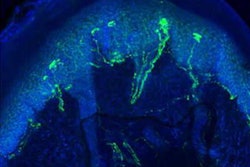 2020 08 27 22 09 5401 2020 08 31 Radbruch Figure 20200827220237