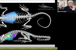 2020 12 02 00 45 2028 2020 12 01 Minnies Best Radiology Image 400