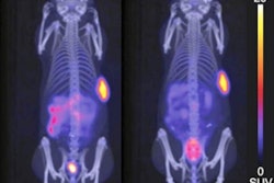 2020 12 19 00 23 0174 2020 12 21 Snmmi Copper Radiotracer