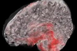 2021 05 06 19 22 2614 2021 05 05 J Mri Terem Video Still 400