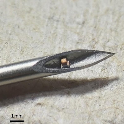 Columbia University engineers have developed a single-chip system that is a complete functioning electronic circuit. These chips can be injected into the body with a hypodermic needle to monitor medical conditions. Image courtesy of Chen Shi and Columbia Engineering.