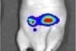 2021 06 11 16 39 0103 2021 06 11 Snmmi Mouse Image 20210611165611