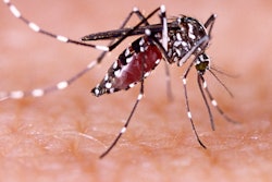 2017 10 04 16 08 4128 Mosquito Zika 400