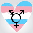 2020 01 28 00 09 7646 Transgender Pride Symbol 400