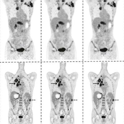 Data on dosing for 12 clinically normal dogs enrolled in a study of the