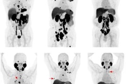 2021 09 08 00 35 8750 2021 09 08 Pet Bat Image 20210908002740