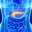2018 03 06 00 04 4002 Pancreas New 400