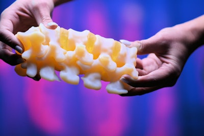 Anatomic model of a spine printed on the Stratasys J750 Digital Anatomy Printer. Image courtesy of Stratasys.
