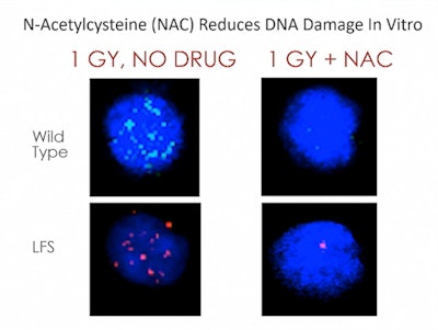 Image courtesy of Dr. Tyler Smith.