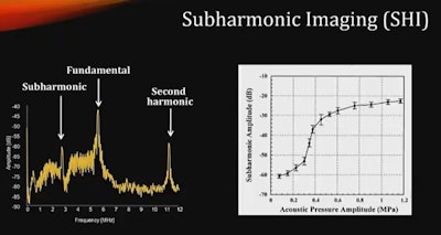 3D subharmonic ultrasound has been touted by researchers as providing better-quality images due to its higher transmit frequency and smaller attenuation of scattered subharmonic signals. Researchers from Thomas Jefferson University in Philadelphia found that subharmonic imaging is better at detecting contrast flow in vascular breast masses than 3D harmonic ultrasound, though both performed better than standard mammography in terms of accuracy. Image courtesy of Fleming Forsberg, PhD.