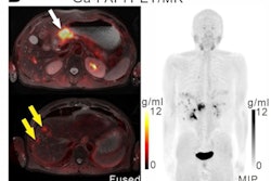 2022 01 19 00 54 8419 2021 01 19 Fapi Pet Gastric 400