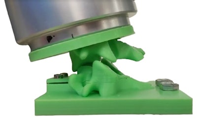 A 3D-printed replica of a spine could enable surgeons to better plan cervical disk implants. Image courtesy of Florida Atlantic University.