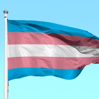 2022 06 24 23 36 6883 Transgender Flag 400