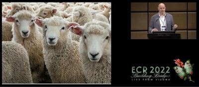 Mark McEntee, PhD, during a presentation at ECR 2022.