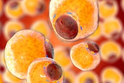 2020 12 11 00 53 7811 Fat Tissue Adipocytes 400