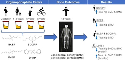 A graphical abstract of the study. Image courtesy of Science of the Total Environment.