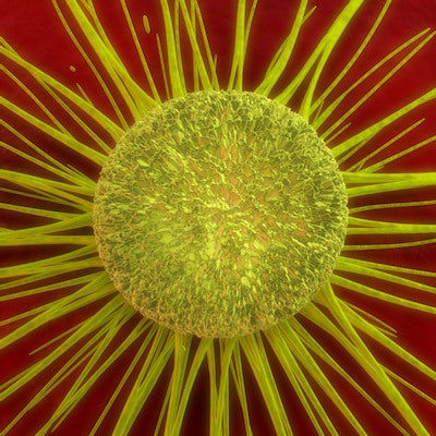 2022 10 11 19 12 6538 Cancer Cell Yellow 400