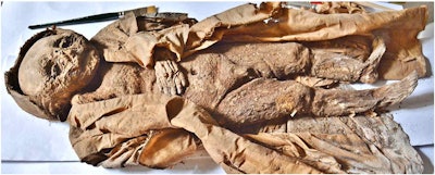 The infant mummy of the Hellmonsödt crypt in Austria. Overview of the complete body in a silk coat. Images courtesy of Andreas Nerlich et al.