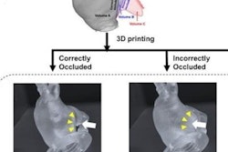 2023 04 17 21 31 0111 2023 04 18 Arrs 4 D Mri Image 20230417215742