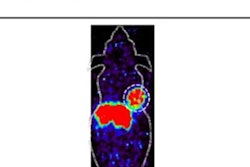 2023 06 27 18 37 0239 2023 06 27 Snmmi Pet Mouse 20230627184051