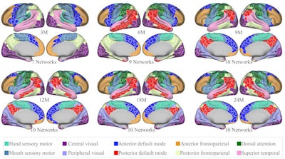 Infant-specific fine-grained functional parcellation maps for infants aged from 3 months to 2 years. Images courtesy of Gang Li, PhD. Licensed under CC BY 4.0.
