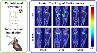 A graphical abstract. Image courtesy of Science of The Total Environment.