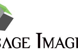 Visage Imaging Logo