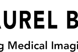 Laurel Bridge Software Logo