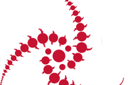 Novarad Logo