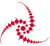 Novarad Logo
