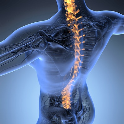 2022 08 09 21 11 3234 Back Spine Skeleton 400