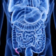 Appendix Blue 400